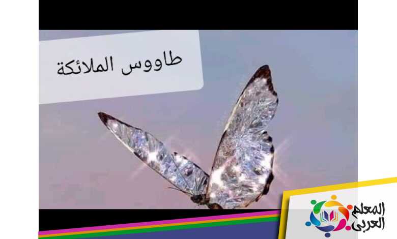 من هو طاووس الملائكه