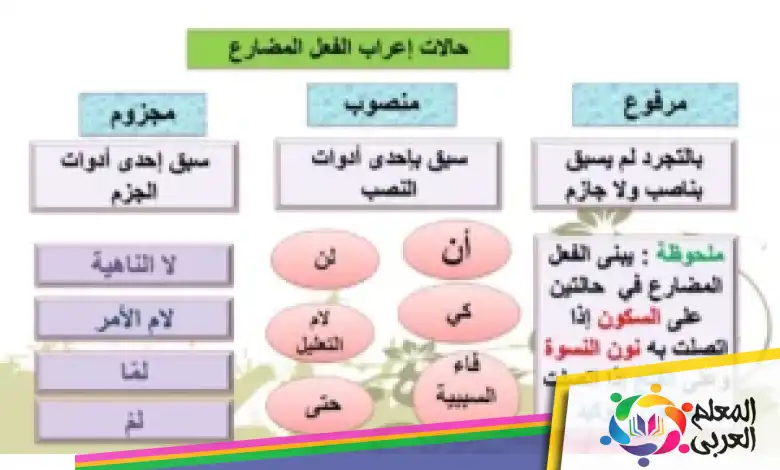 من أدوات نصب الفعل المضارع هي ......