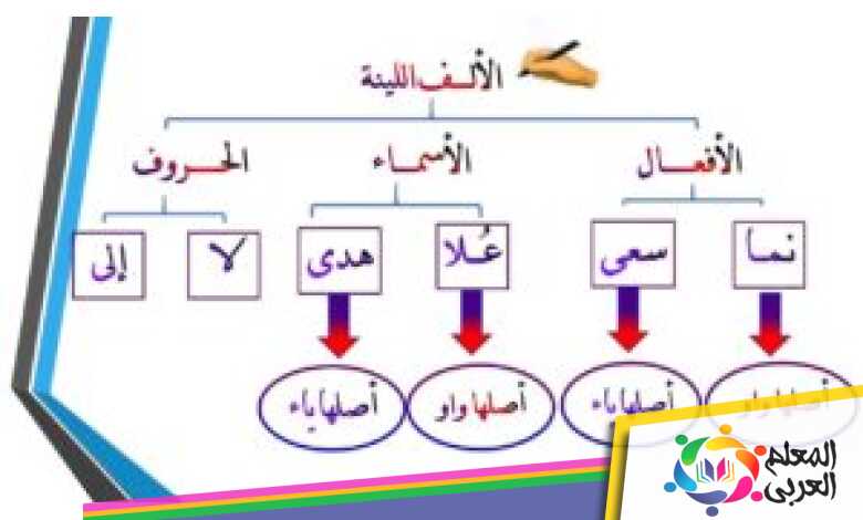 تأتي الألف اللينة في الأسماء