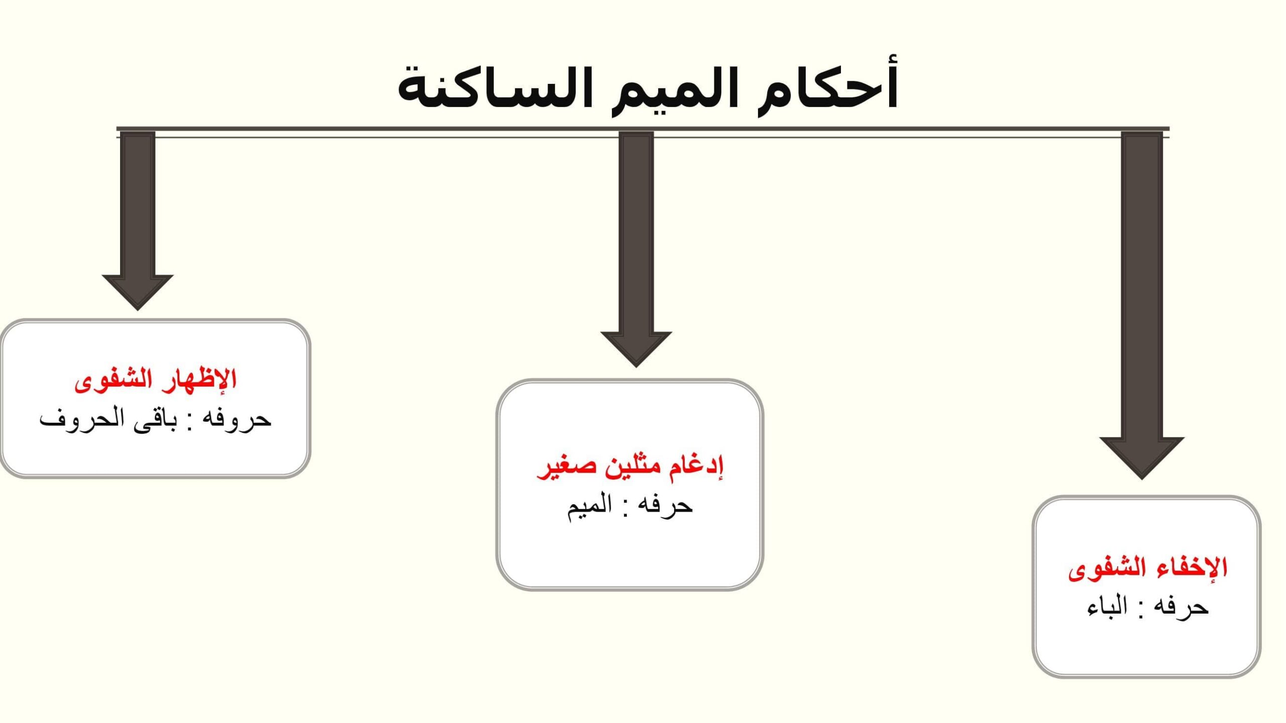 السماء صافية نوع الجملة جملة مثبتة